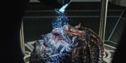 Filename=extant_StarTrekDiscovery_1x05-ChooseYourPain_4713.jpg
Filesize=260KiB
Dimensions=1920x960
Date added=Jan 02, 2019 extant_StarTrekDiscovery_1x05-ChooseYourPain_4713.jpg