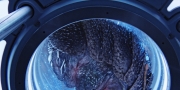 Filename=extant_StarTrekDiscovery_1x05-ChooseYourPain_4747.jpg
Filesize=251KiB
Dimensions=1920x960
Date added=Jan 02, 2019 extant_StarTrekDiscovery_1x05-ChooseYourPain_4747.jpg