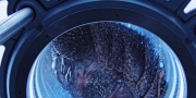 Filename=extant_StarTrekDiscovery_1x05-ChooseYourPain_4748.jpg
Filesize=245KiB
Dimensions=1920x960
Date added=Jan 02, 2019 extant_StarTrekDiscovery_1x05-ChooseYourPain_4748.jpg