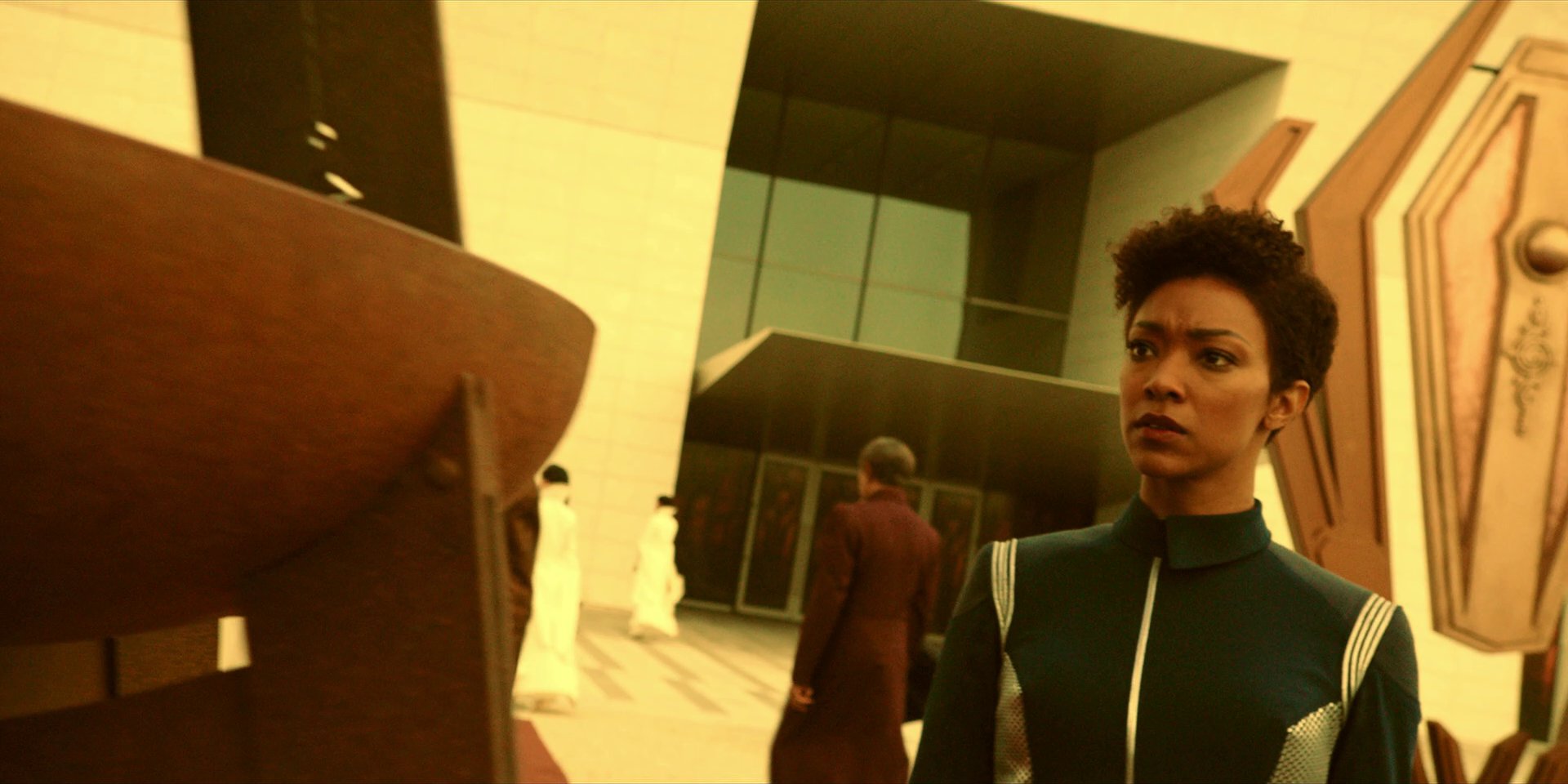 extant_StarTrekDiscovery_1x06-Lethe_1260.jpg