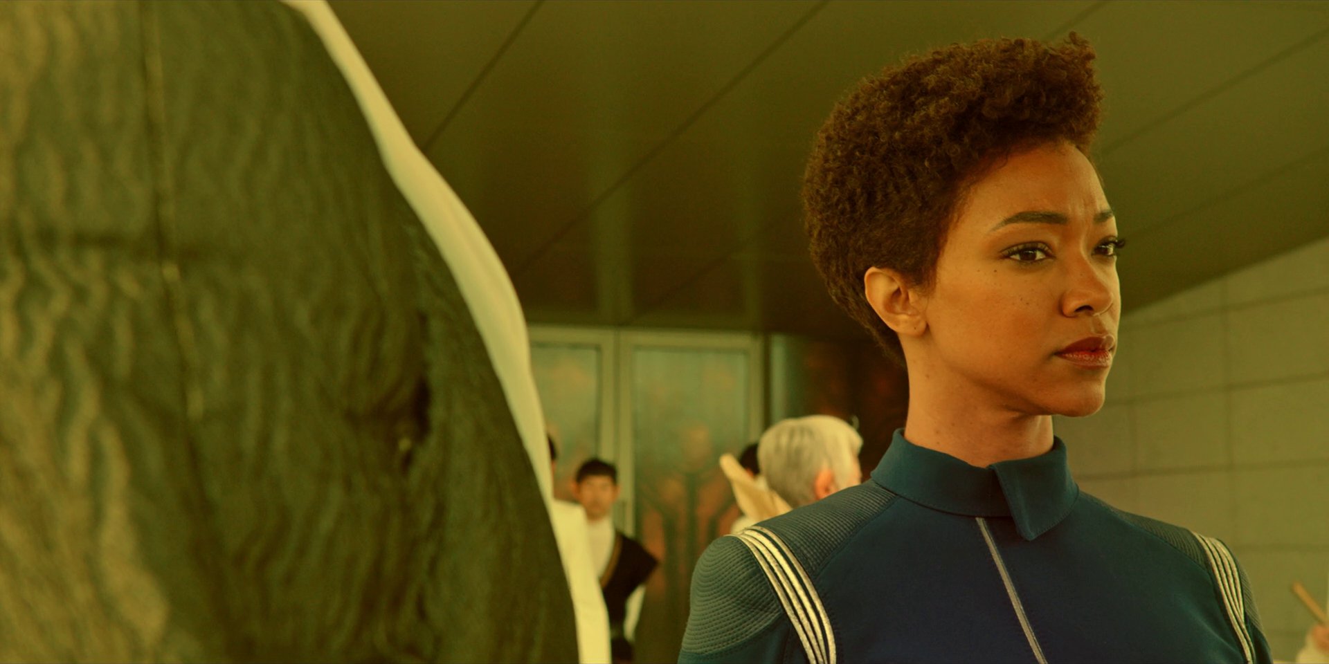 extant_StarTrekDiscovery_1x06-Lethe_3228.jpg