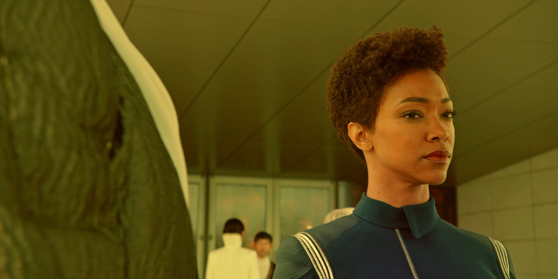 extant_StarTrekDiscovery_1x06-Lethe_3230.jpg