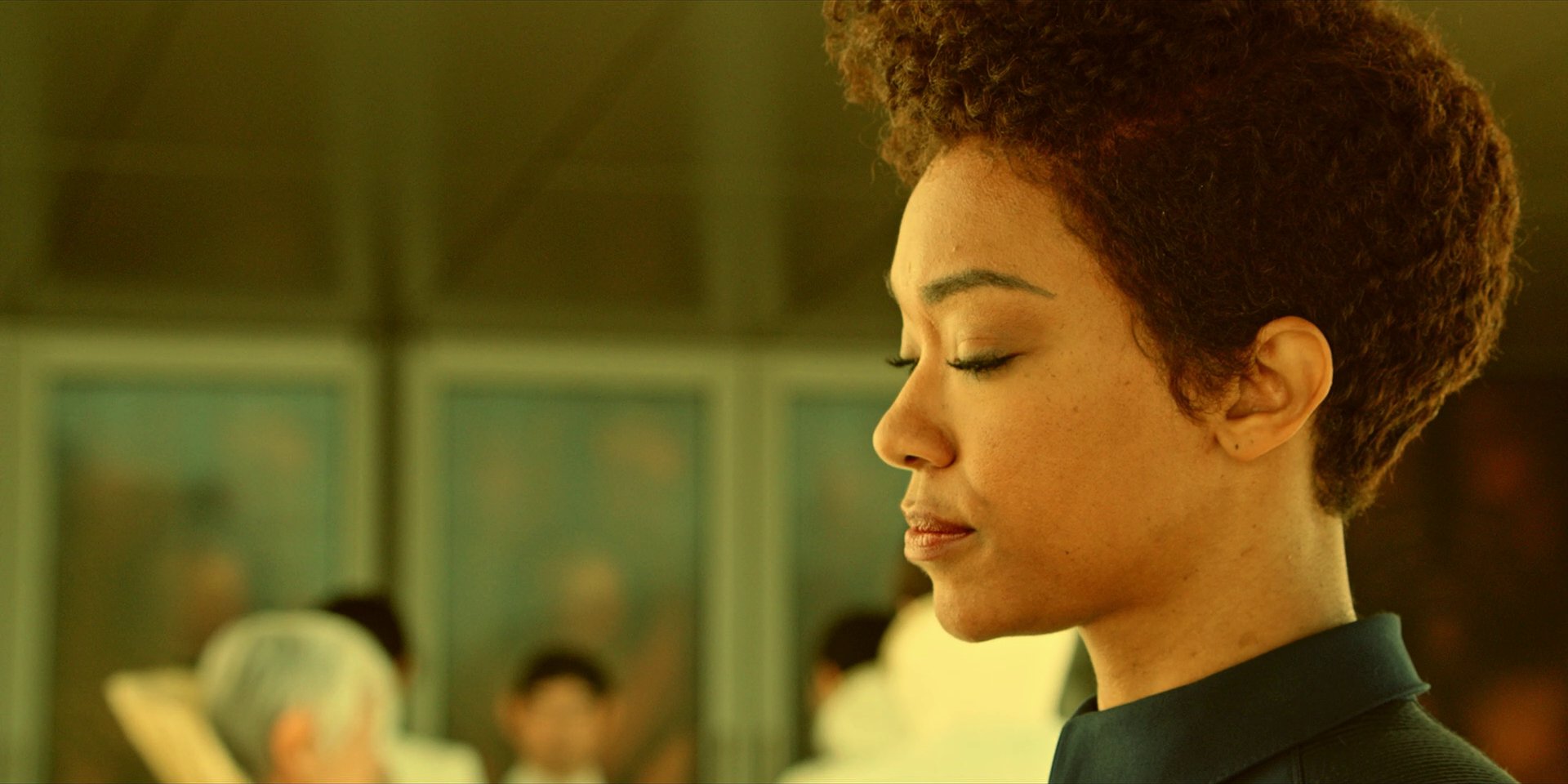 extant_StarTrekDiscovery_1x06-Lethe_3378.jpg