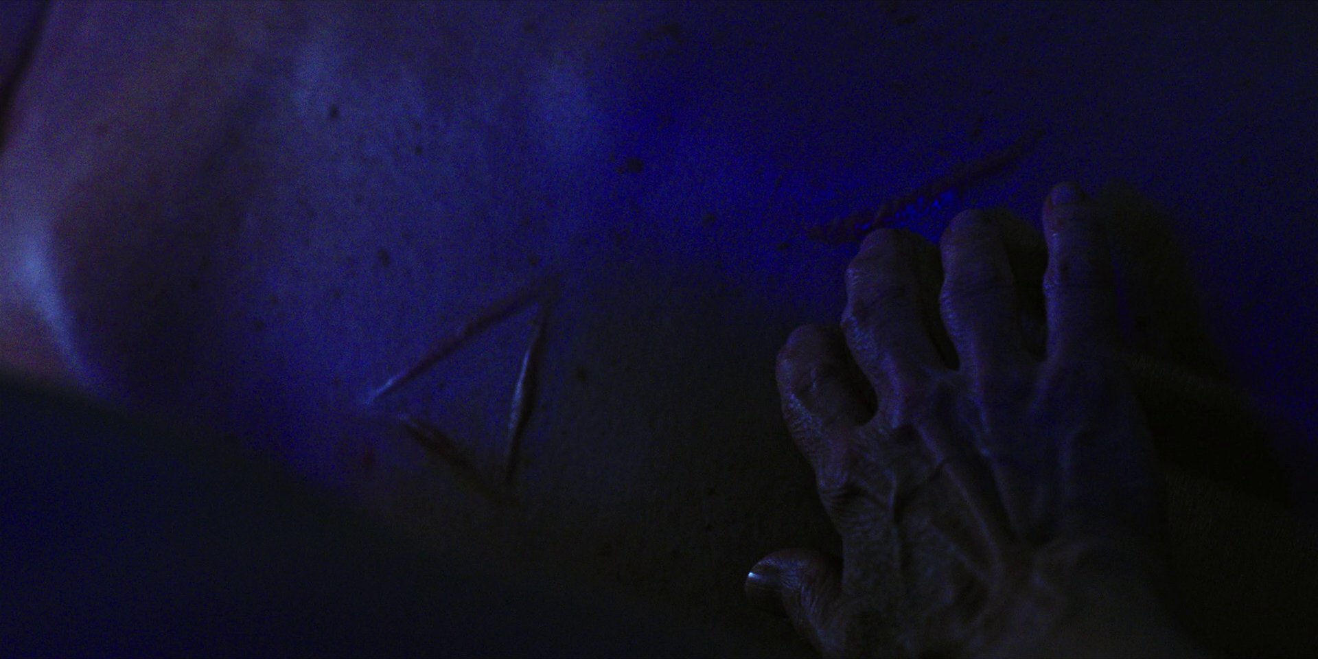 extant_StarTrekDiscovery_1x06-Lethe_3584.jpg