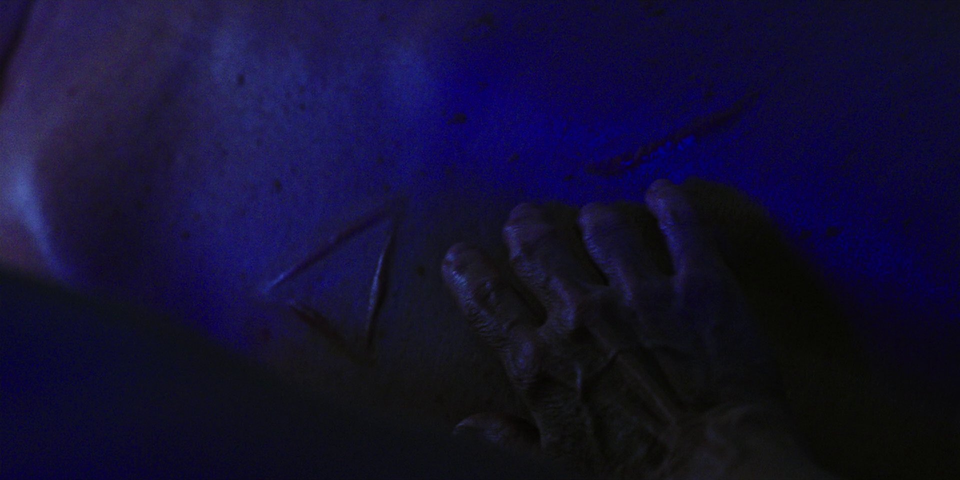 extant_StarTrekDiscovery_1x06-Lethe_3585.jpg