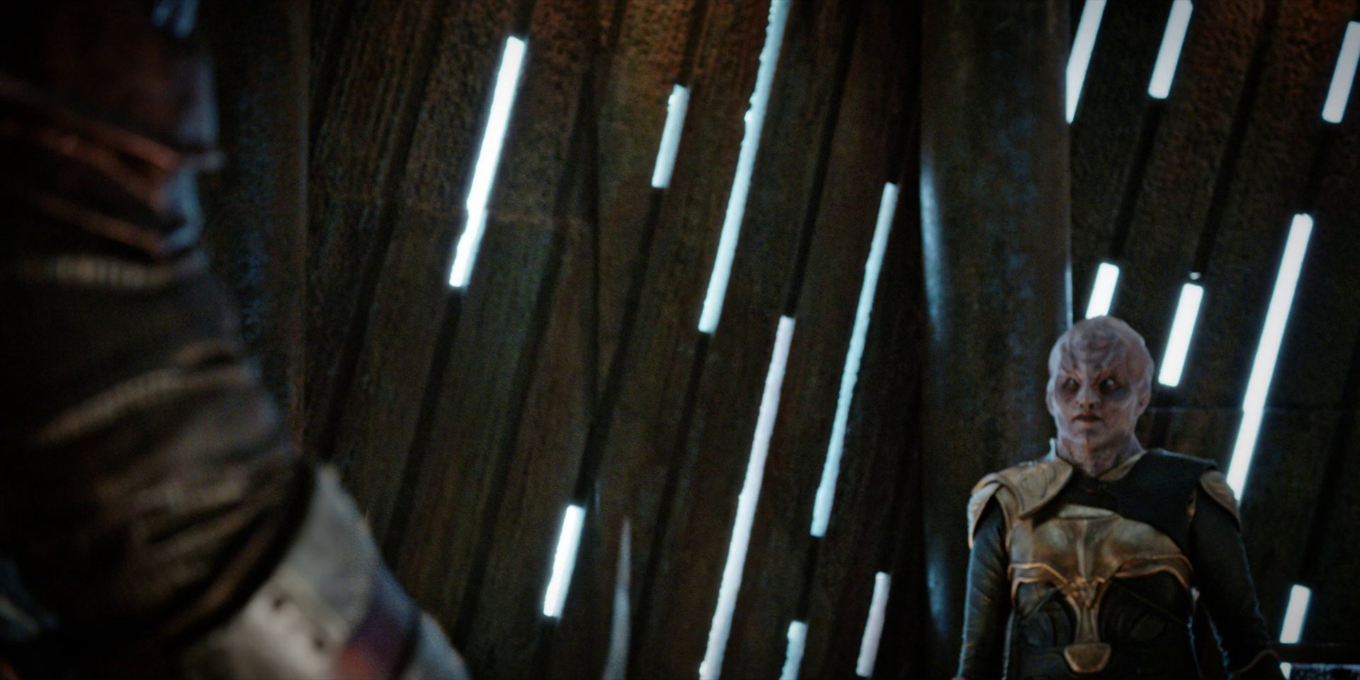 extant_StarTrekDiscovery_1x06-Lethe_4542.jpg