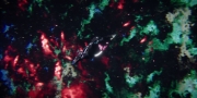 Filename=extant_StarTrekDiscovery_1x06-Lethe_0767.jpg
Filesize=187KiB
Dimensions=1920x960
Date added=Jan 02, 2019 extant_StarTrekDiscovery_1x06-Lethe_0767.jpg