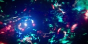 Filename=extant_StarTrekDiscovery_1x06-Lethe_2299.jpg
Filesize=157KiB
Dimensions=1920x960
Date added=Jan 02, 2019 extant_StarTrekDiscovery_1x06-Lethe_2299.jpg