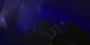 Filename=extant_StarTrekDiscovery_1x06-Lethe_3579.jpg
Filesize=161KiB
Dimensions=1920x960
Date added=Jan 02, 2019 extant_StarTrekDiscovery_1x06-Lethe_3579.jpg