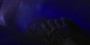 Filename=extant_StarTrekDiscovery_1x06-Lethe_3585.jpg
Filesize=149KiB
Dimensions=1920x960
Date added=Jan 02, 2019 extant_StarTrekDiscovery_1x06-Lethe_3585.jpg