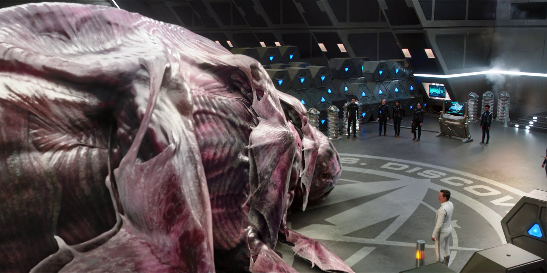 extant_StarTrekDiscovery_1x07-MagicToMakeTheSanestManGoMad_0947.jpg