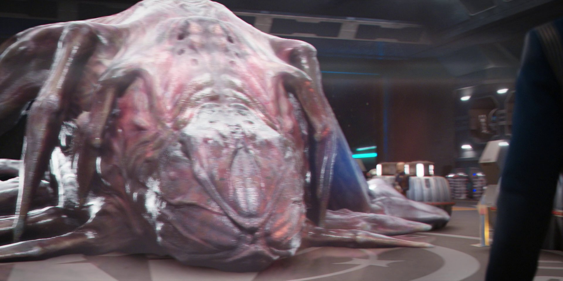 extant_StarTrekDiscovery_1x07-MagicToMakeTheSanestManGoMad_1548.jpg