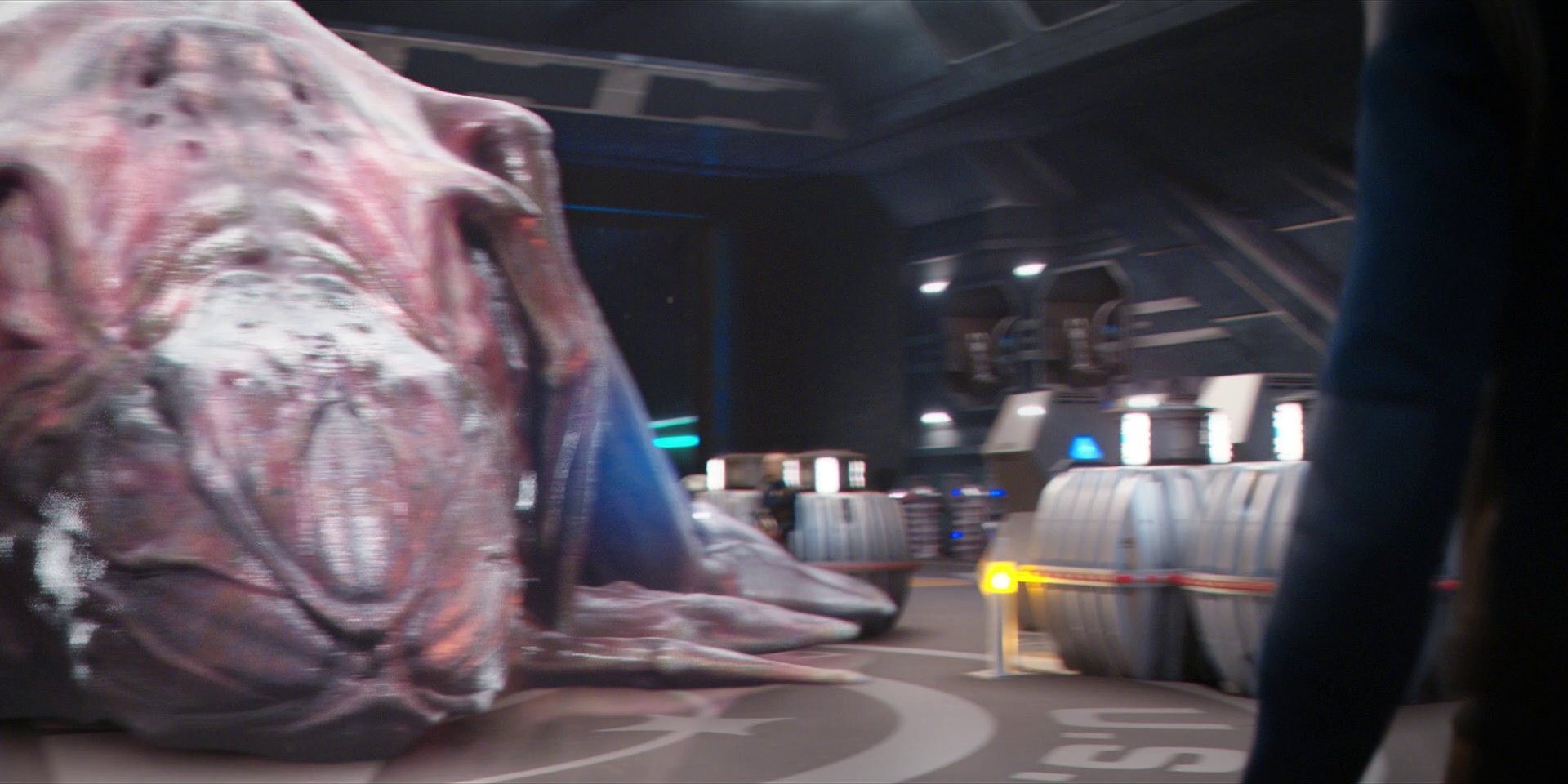 extant_StarTrekDiscovery_1x07-MagicToMakeTheSanestManGoMad_1549.jpg