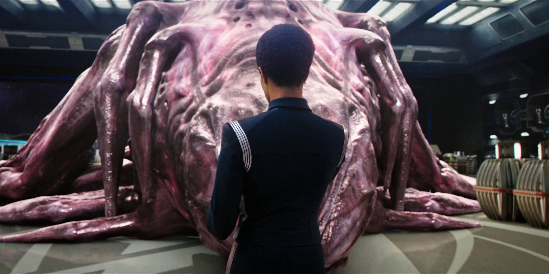extant_StarTrekDiscovery_1x07-MagicToMakeTheSanestManGoMad_1606.jpg