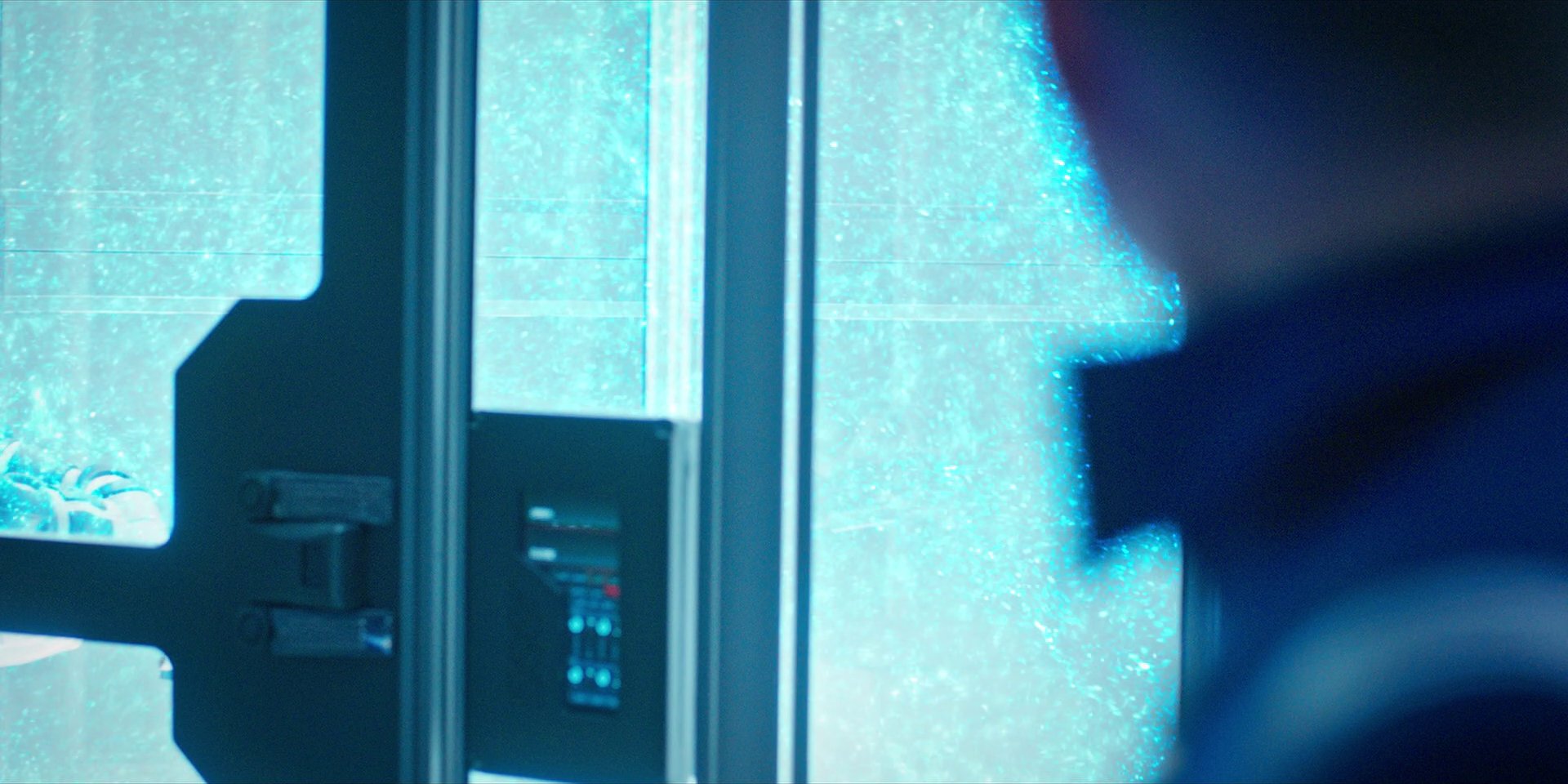 extant_StarTrekDiscovery_1x07-MagicToMakeTheSanestManGoMad_1884.jpg