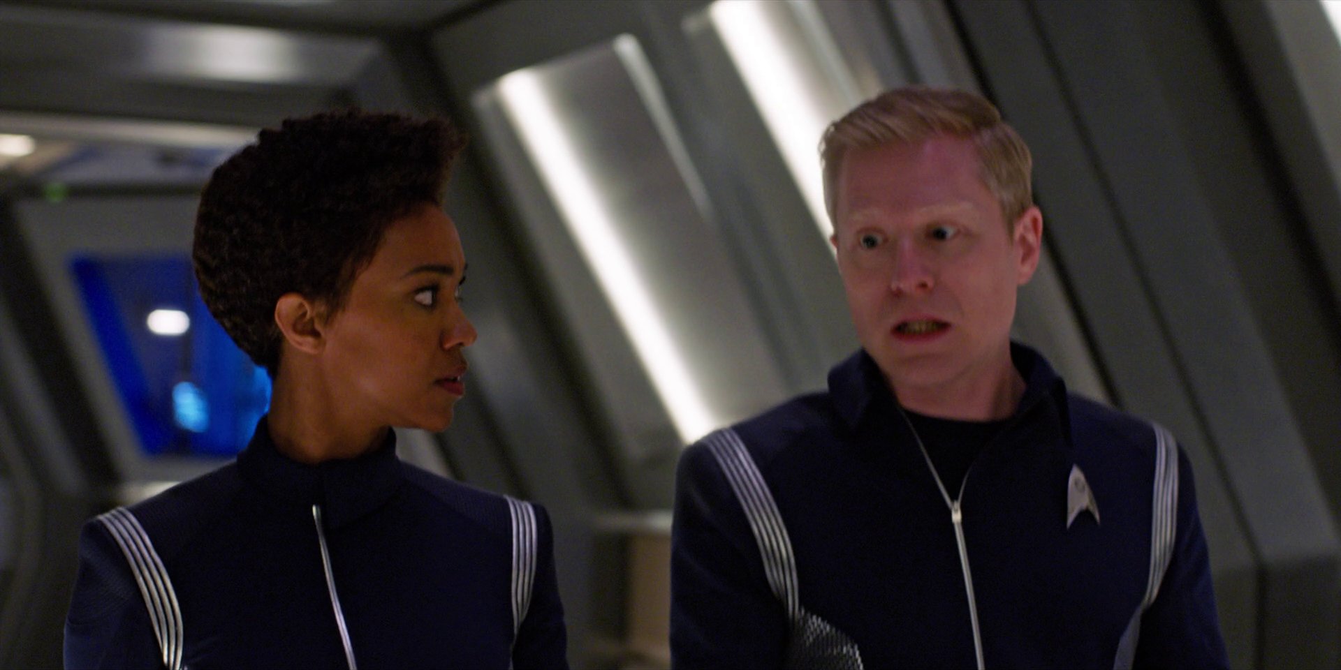 extant_StarTrekDiscovery_1x07-MagicToMakeTheSanestManGoMad_2169.jpg