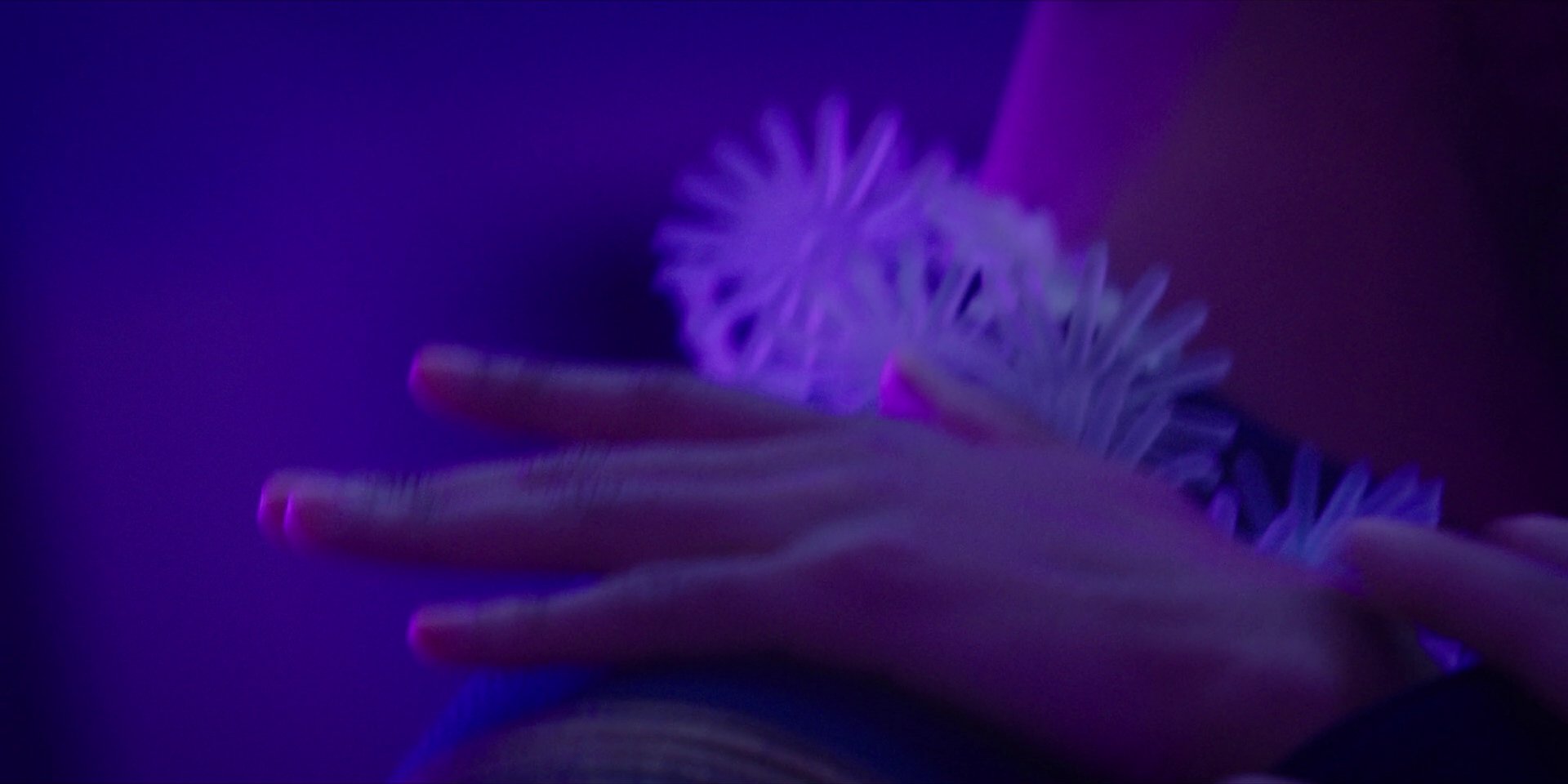 extant_StarTrekDiscovery_1x07-MagicToMakeTheSanestManGoMad_2932.jpg