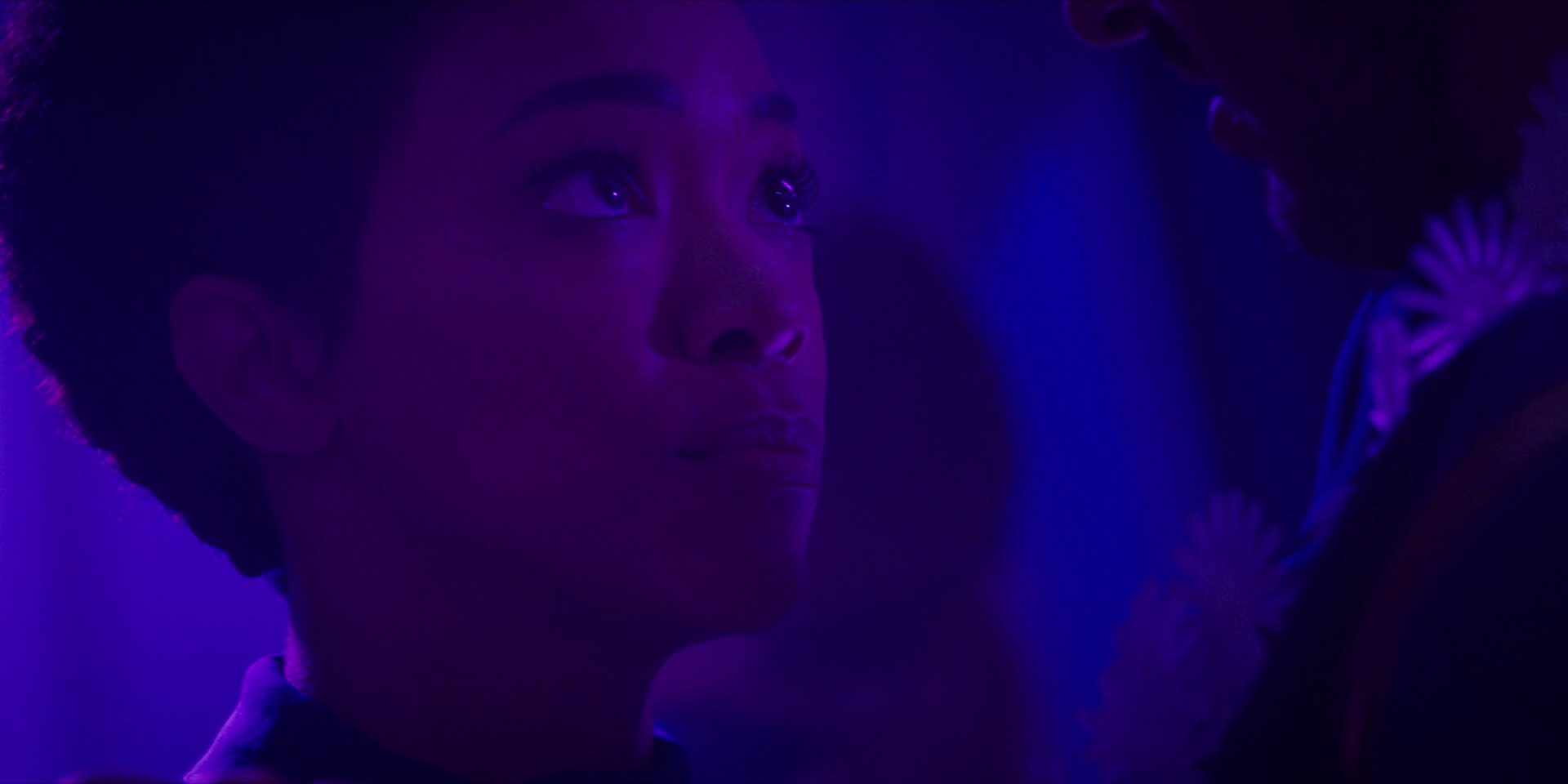 extant_StarTrekDiscovery_1x07-MagicToMakeTheSanestManGoMad_3031.jpg