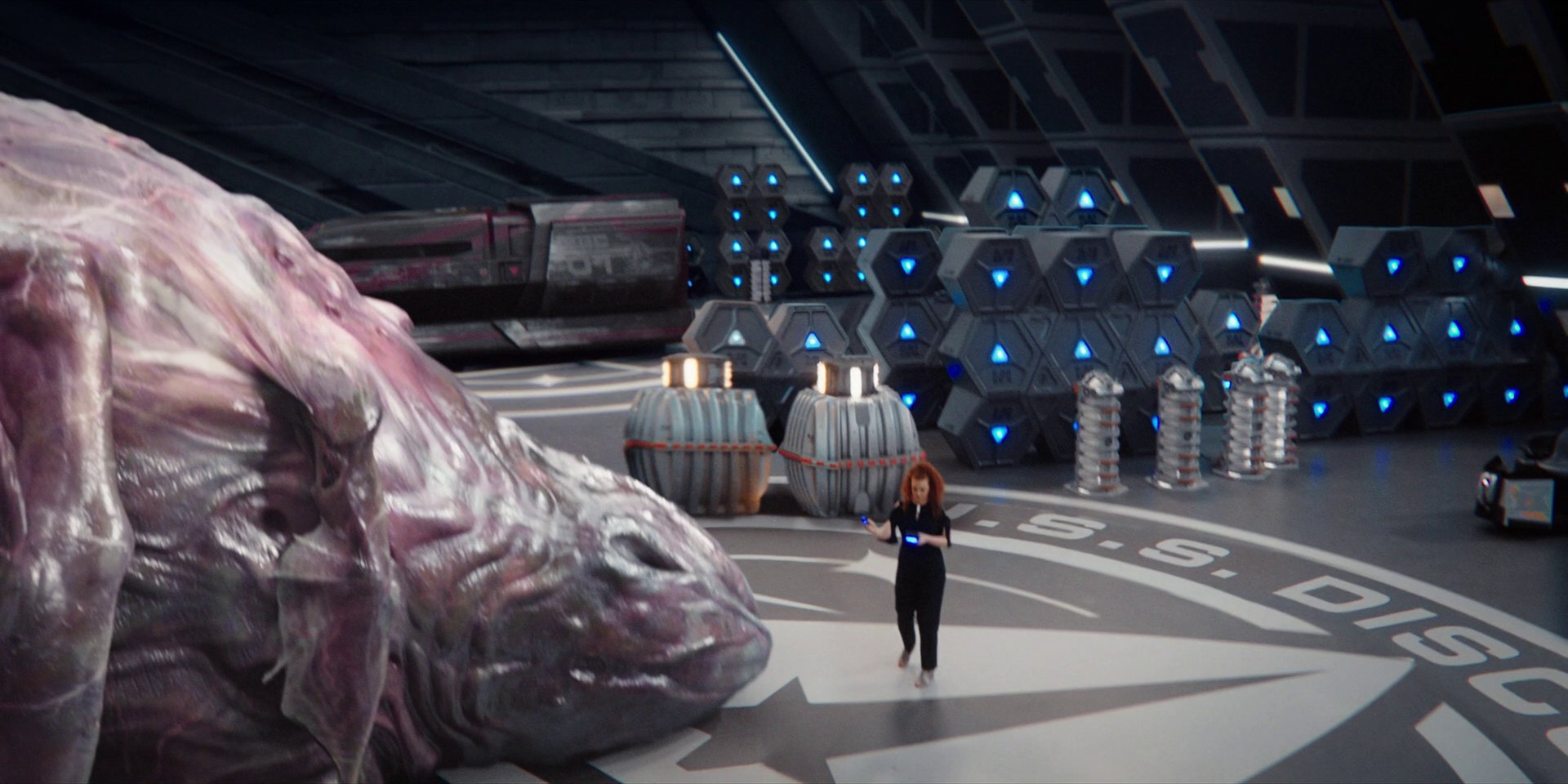 extant_StarTrekDiscovery_1x07-MagicToMakeTheSanestManGoMad_3674.jpg