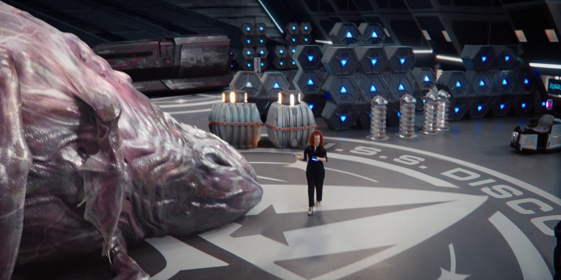 extant_StarTrekDiscovery_1x07-MagicToMakeTheSanestManGoMad_3675.jpg