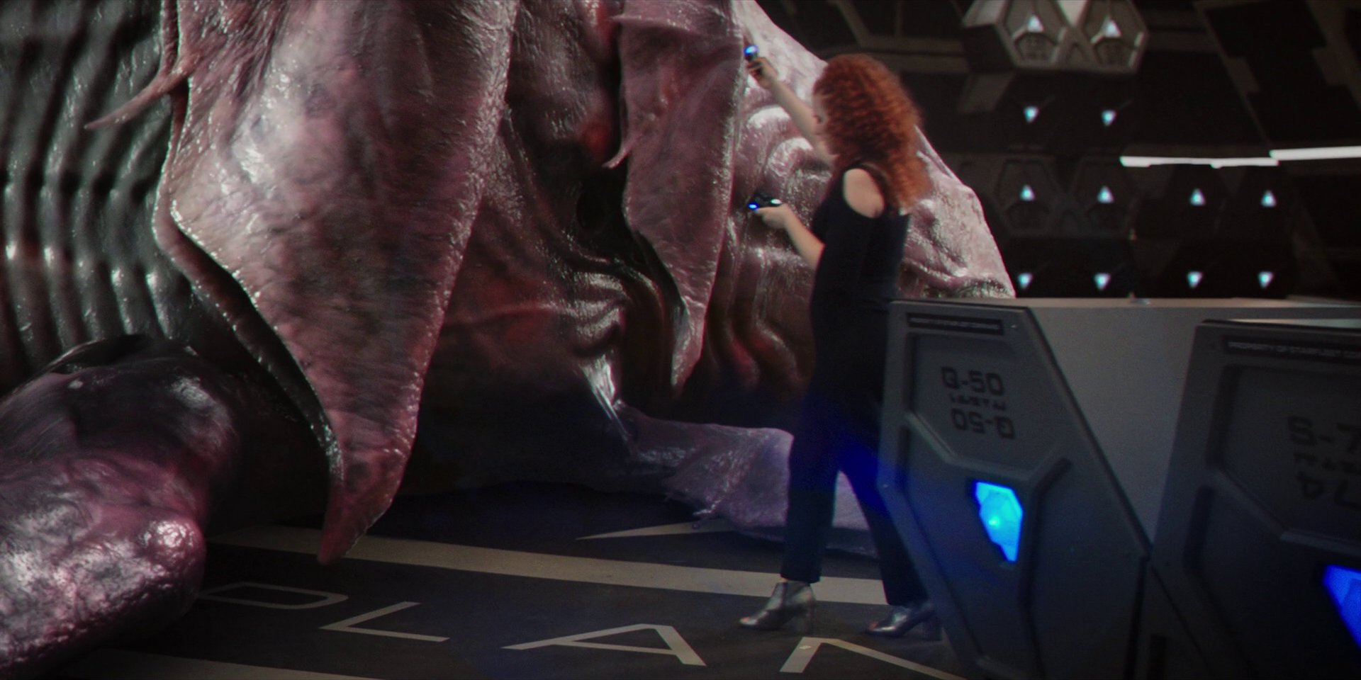 extant_StarTrekDiscovery_1x07-MagicToMakeTheSanestManGoMad_3717.jpg
