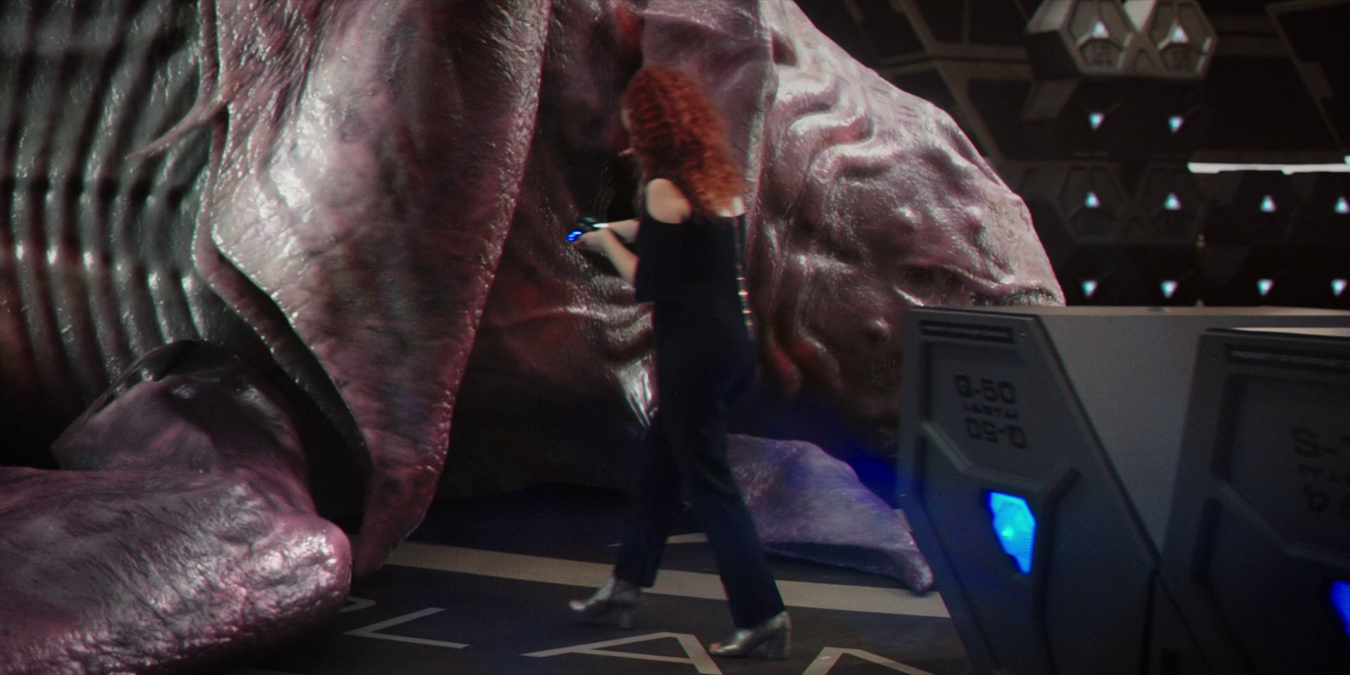 extant_StarTrekDiscovery_1x07-MagicToMakeTheSanestManGoMad_3721.jpg
