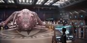 extant_StarTrekDiscovery_1x07-MagicToMakeTheSanestManGoMad_0936.jpg