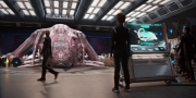 Filename=extant_StarTrekDiscovery_1x07-MagicToMakeTheSanestManGoMad_0943.jpg
Filesize=234KiB
Dimensions=1920x960
Date added=Jan 02, 2019 extant_StarTrekDiscovery_1x07-MagicToMakeTheSanestManGoMad_0943.jpg