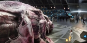 extant_StarTrekDiscovery_1x07-MagicToMakeTheSanestManGoMad_0944.jpg