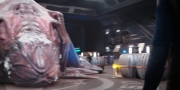 extant_StarTrekDiscovery_1x07-MagicToMakeTheSanestManGoMad_1549.jpg