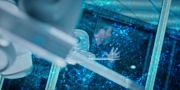 Filename=extant_StarTrekDiscovery_1x07-MagicToMakeTheSanestManGoMad_1759.jpg
Filesize=211KiB
Dimensions=1920x960
Date added=Jan 02, 2019 extant_StarTrekDiscovery_1x07-MagicToMakeTheSanestManGoMad_1759.jpg
