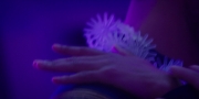 extant_StarTrekDiscovery_1x07-MagicToMakeTheSanestManGoMad_2932.jpg