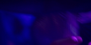 extant_StarTrekDiscovery_1x07-MagicToMakeTheSanestManGoMad_2937.jpg