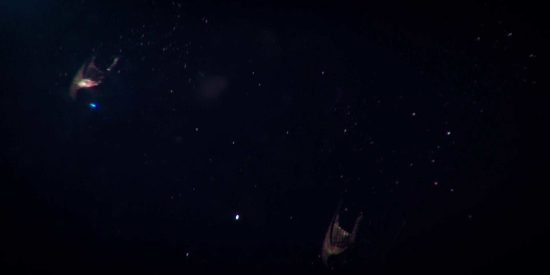 extant_StarTrekDiscovery_1x08-SiVisPacemParaBellum_0462.jpg