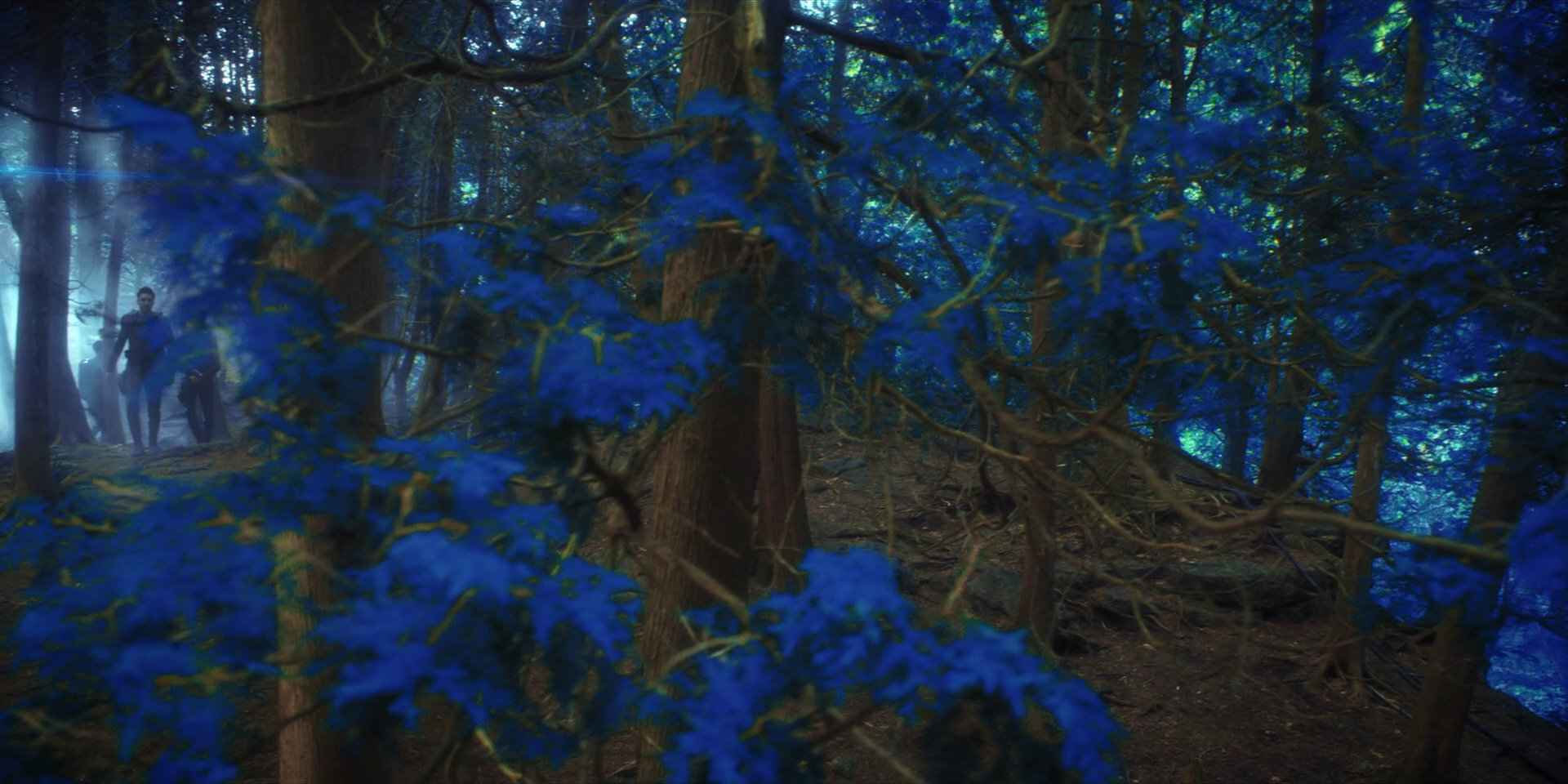extant_StarTrekDiscovery_1x08-SiVisPacemParaBellum_0759.jpg