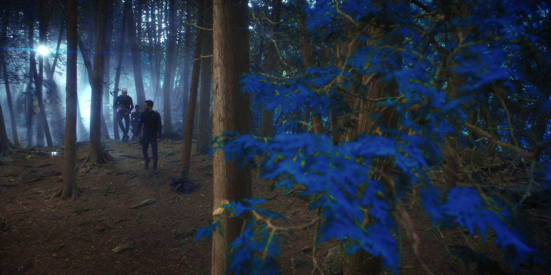 extant_StarTrekDiscovery_1x08-SiVisPacemParaBellum_0767.jpg