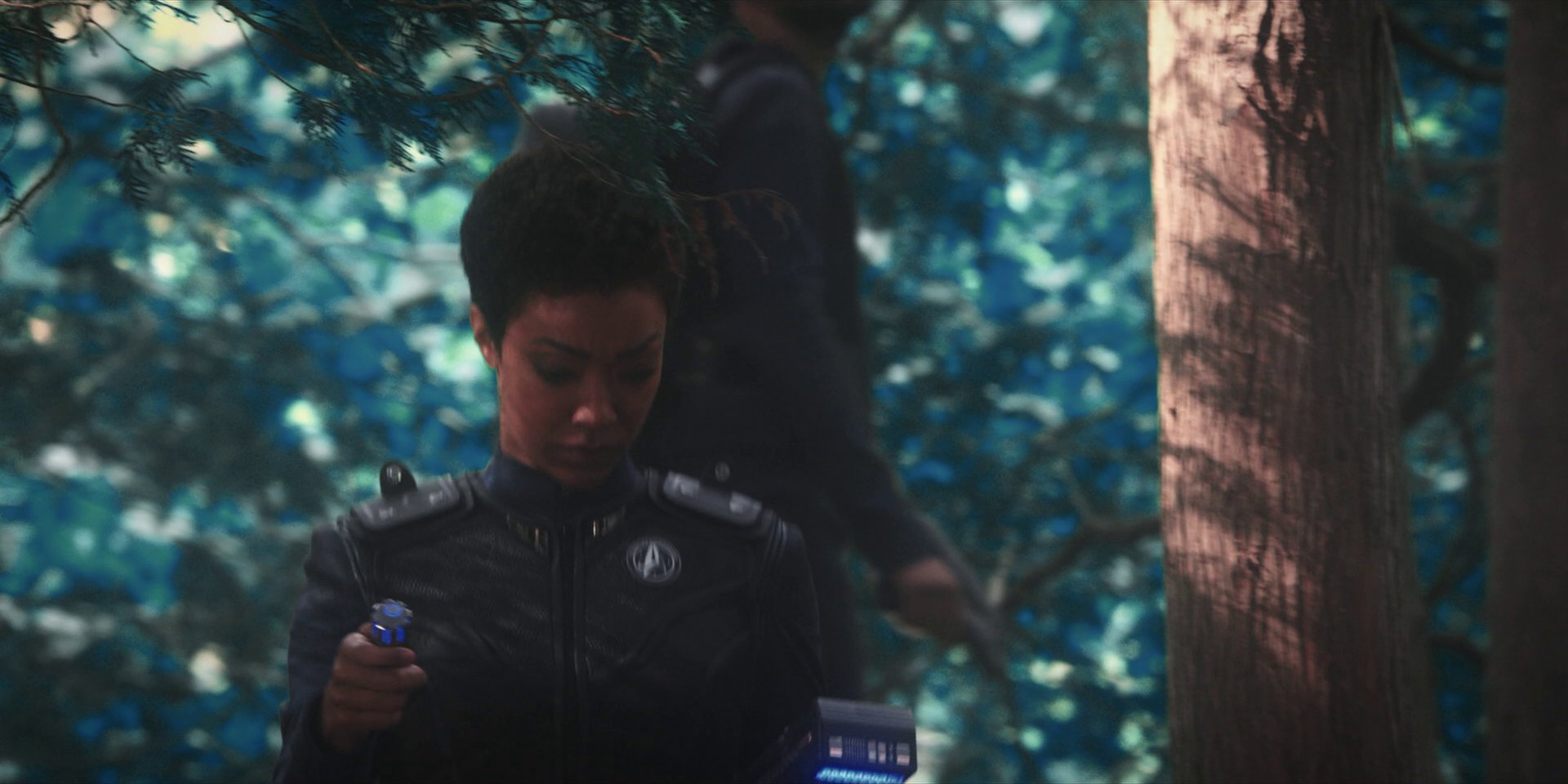 extant_StarTrekDiscovery_1x08-SiVisPacemParaBellum_0786.jpg