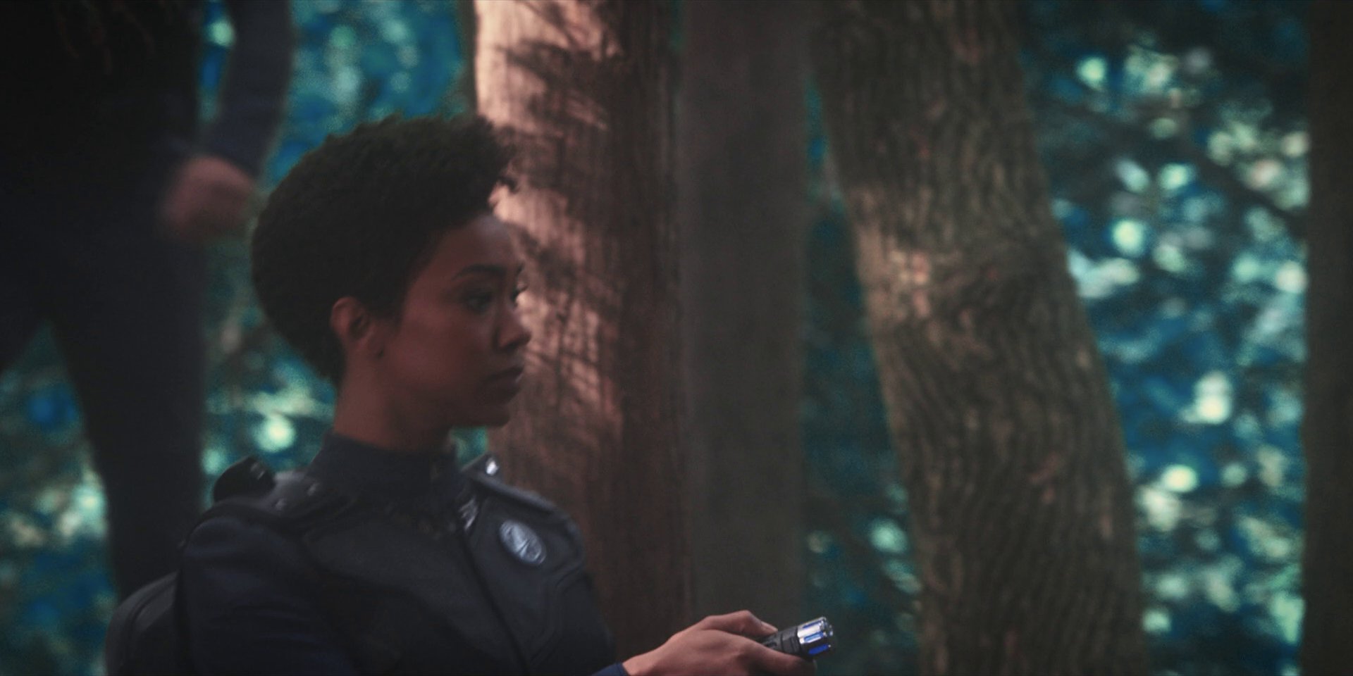 extant_StarTrekDiscovery_1x08-SiVisPacemParaBellum_0790.jpg