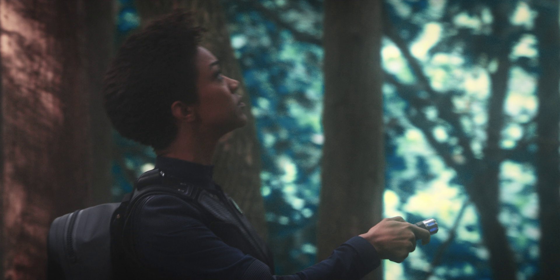 extant_StarTrekDiscovery_1x08-SiVisPacemParaBellum_0793.jpg