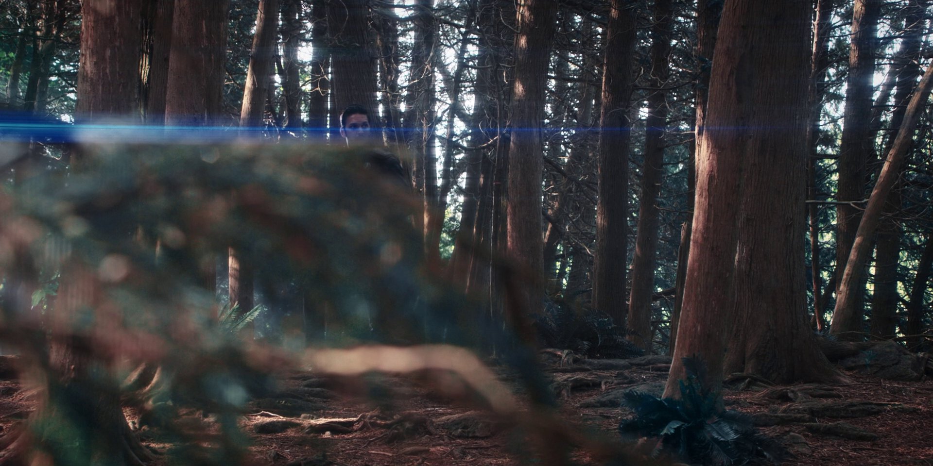 extant_StarTrekDiscovery_1x08-SiVisPacemParaBellum_0800.jpg