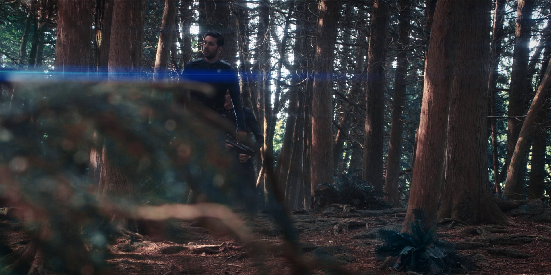 extant_StarTrekDiscovery_1x08-SiVisPacemParaBellum_0803.jpg