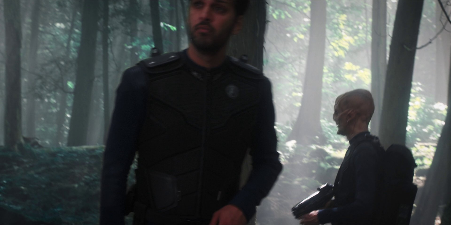 extant_StarTrekDiscovery_1x08-SiVisPacemParaBellum_0814.jpg