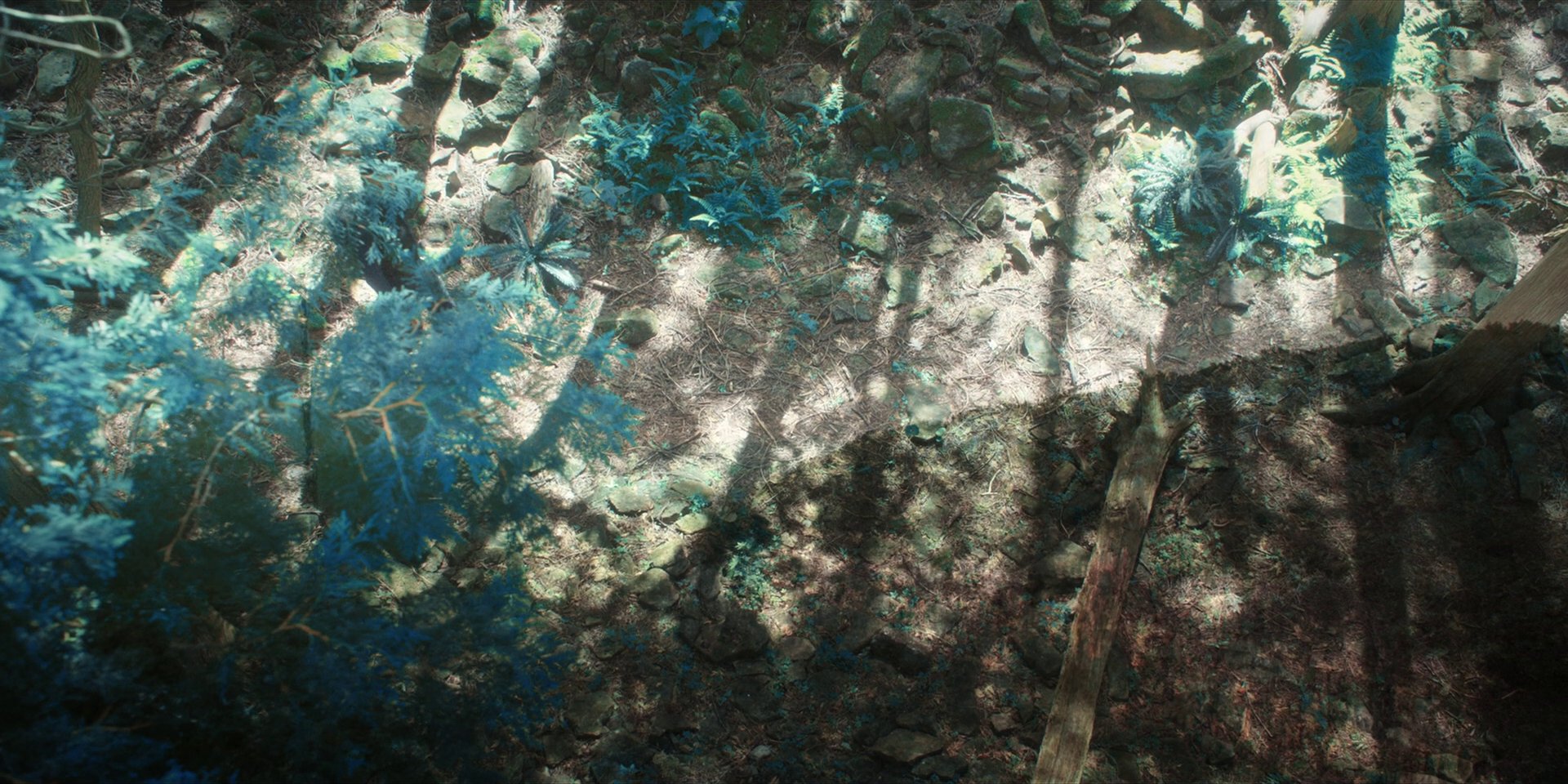 extant_StarTrekDiscovery_1x08-SiVisPacemParaBellum_0853.jpg