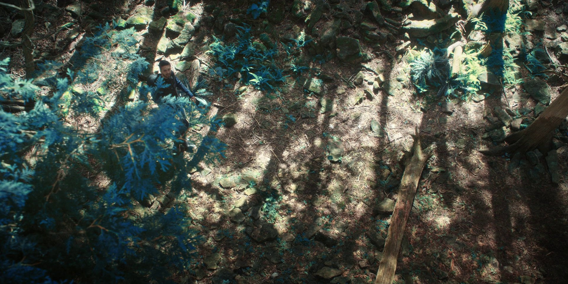 extant_StarTrekDiscovery_1x08-SiVisPacemParaBellum_0854.jpg
