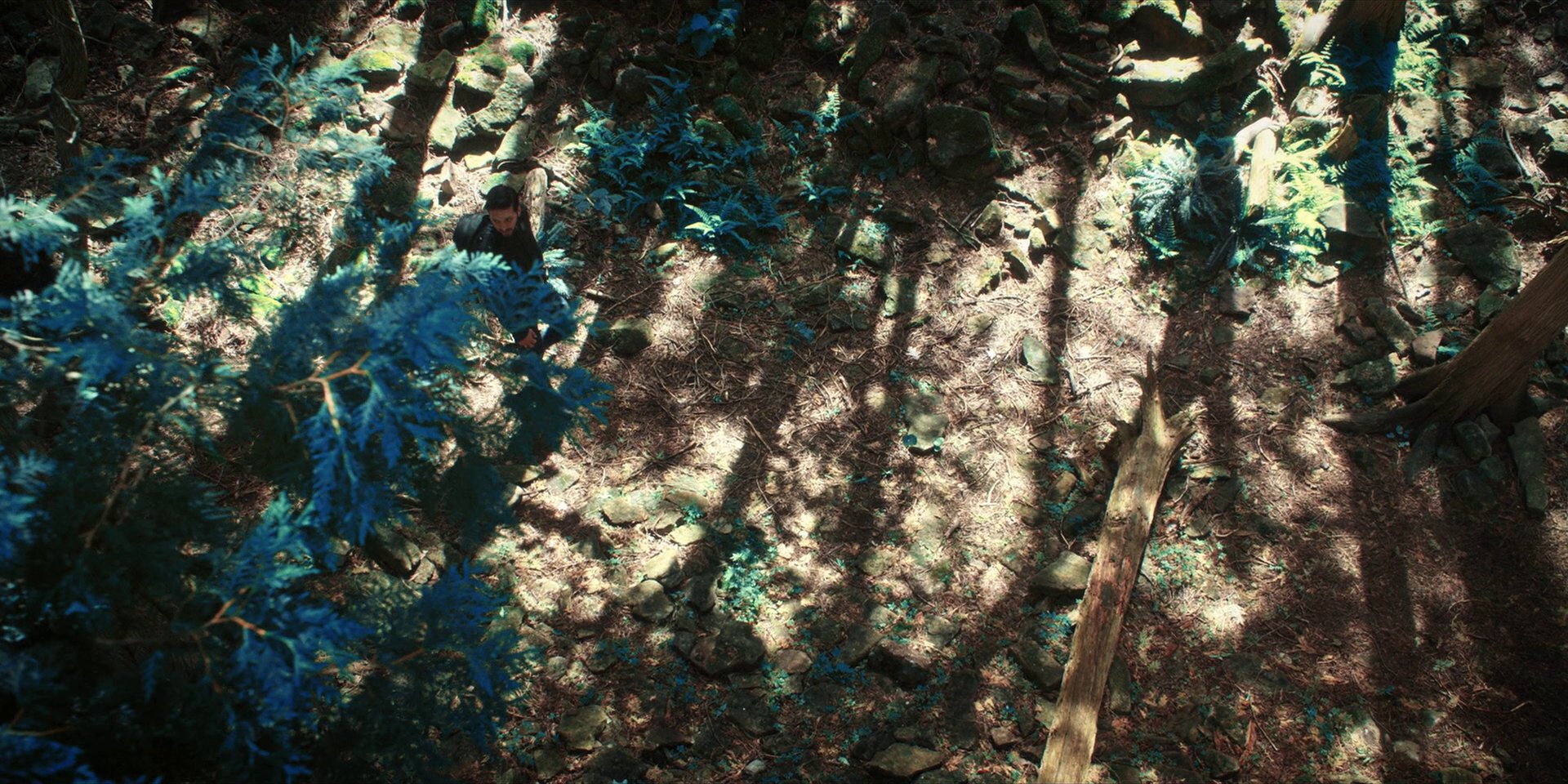 extant_StarTrekDiscovery_1x08-SiVisPacemParaBellum_0855.jpg