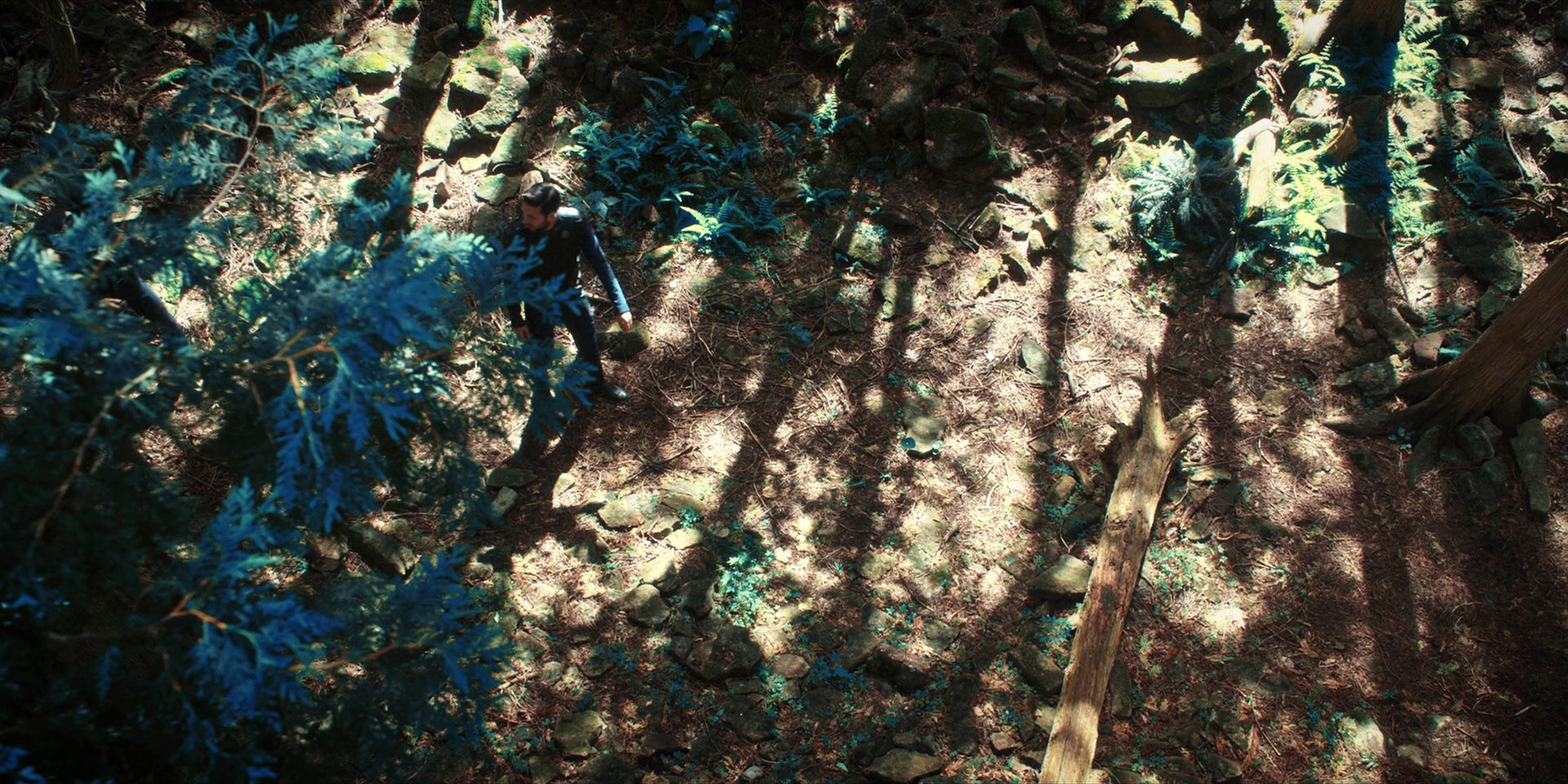 extant_StarTrekDiscovery_1x08-SiVisPacemParaBellum_0856.jpg