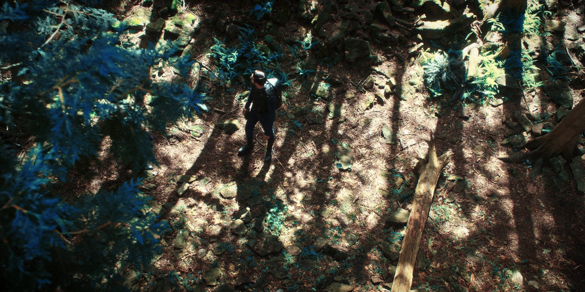 extant_StarTrekDiscovery_1x08-SiVisPacemParaBellum_0859.jpg