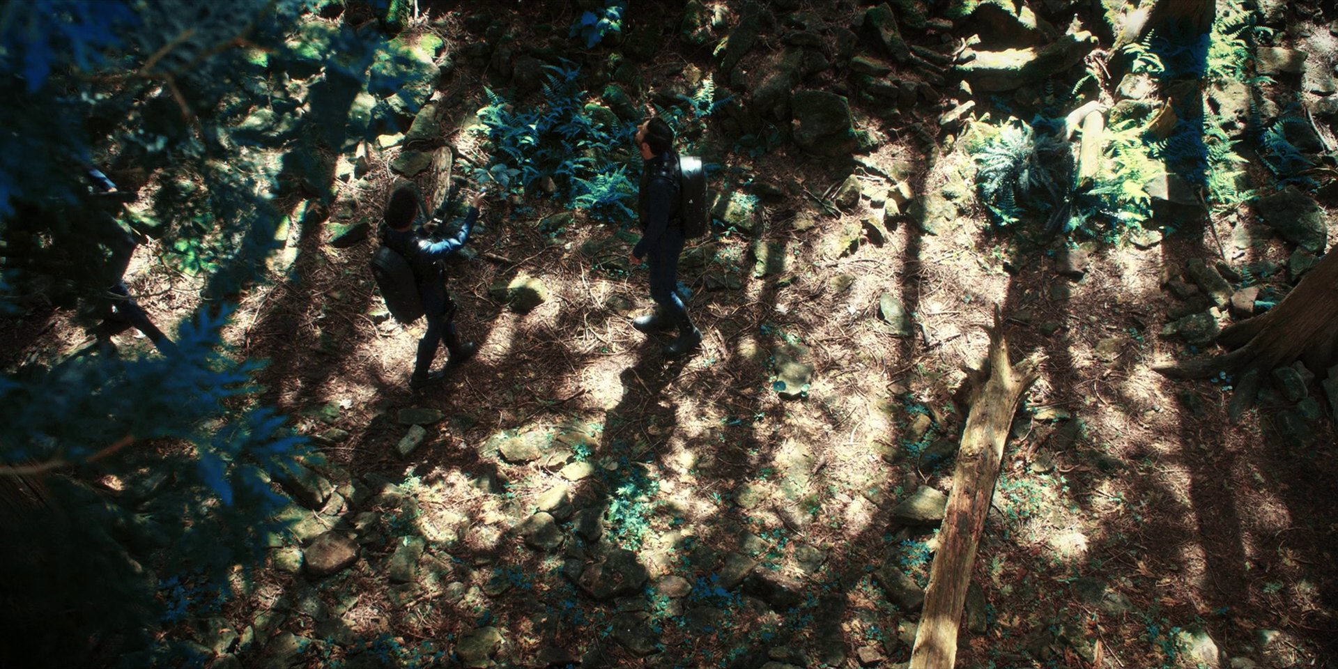 extant_StarTrekDiscovery_1x08-SiVisPacemParaBellum_0862.jpg