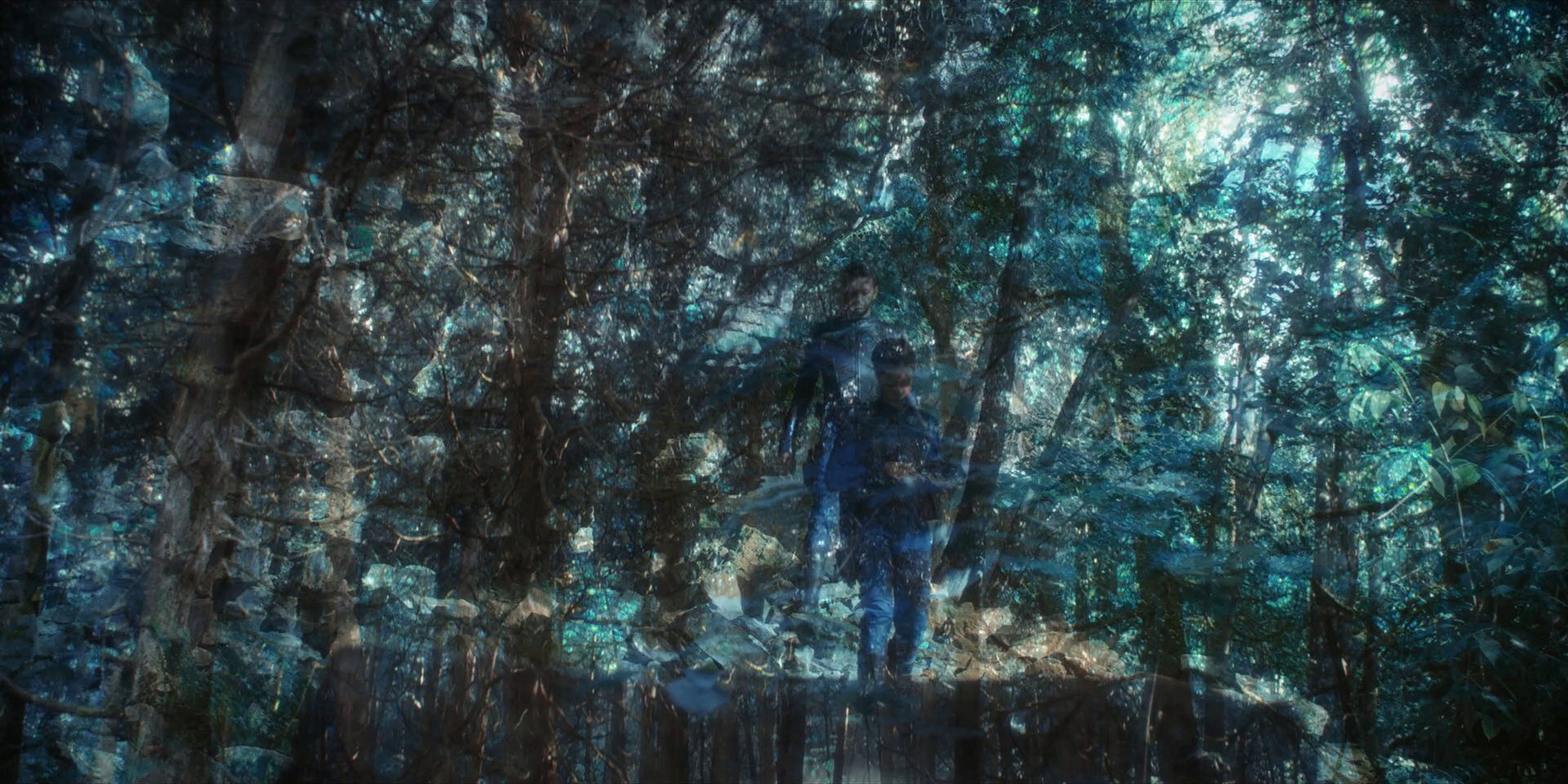 extant_StarTrekDiscovery_1x08-SiVisPacemParaBellum_0878.jpg