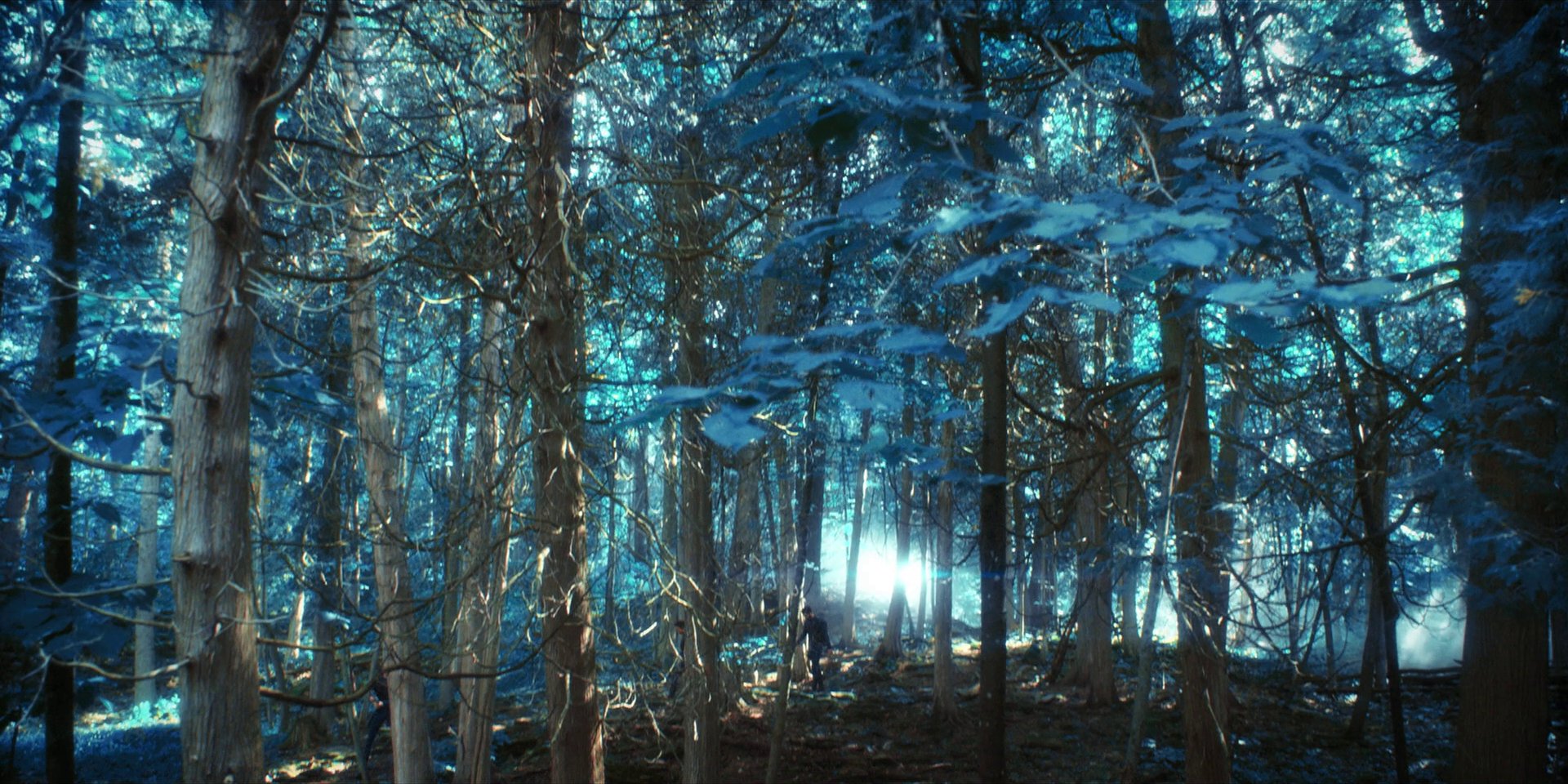 extant_StarTrekDiscovery_1x08-SiVisPacemParaBellum_0881.jpg